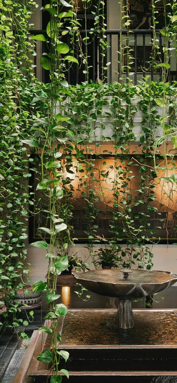 รูปภาพของมรรคาชีวา