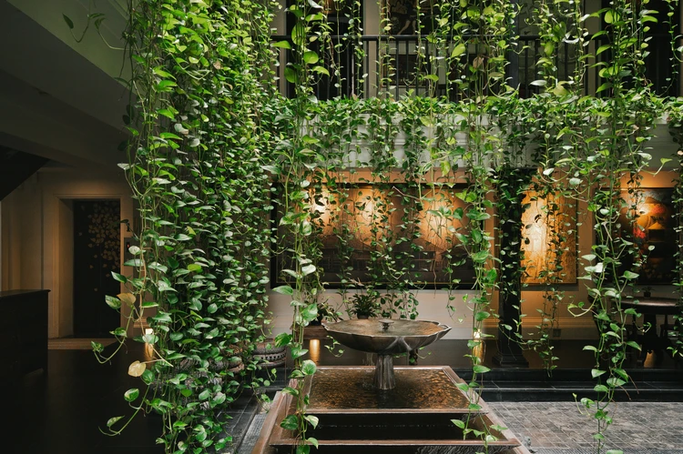 รูปภาพของมรรคาชีวา