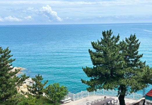 모하이 민수 오션뷰