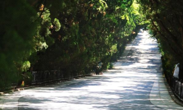 Floral Hotel·Qingdao Dream Ship Scenic Hotel