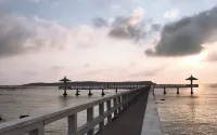 Candy Floss (Penghu) - 3-نجوم