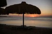 Al Kasr Sahl Hasheesh - Ultra All-Inclusive - 5 Yıldız