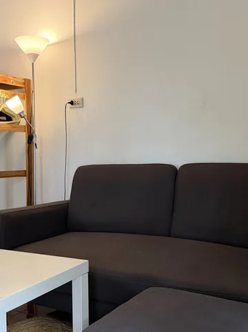 รูปภาพของป่าเซน