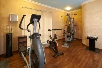 Retro Riverside Wellness Resort - Gym