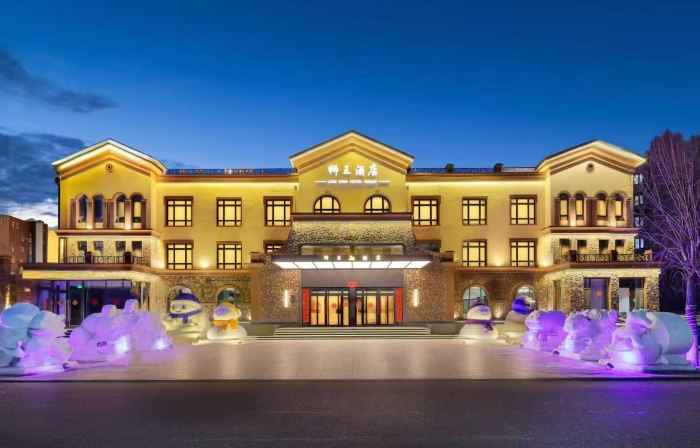 LION KING HOTEL GROUP
