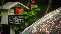 jinshi - مطابخ