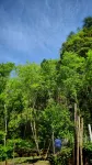 光霧山鎮雲峯意景休閑民宿