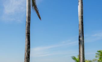 Chaolao Sea Breeze Resort