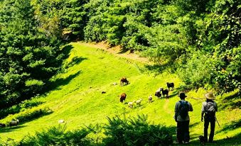 Cloud Top · The Nest Tea Estate Hotel (Shuangjiang Rongkangda Estate)