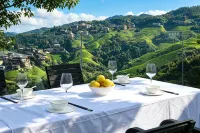 Longsheng Longji Lanxing Yuyue Panorama Hotel (Jinfoding No.3 Viewing Store) - Gym
