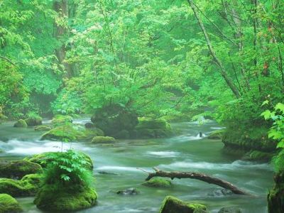 ホテル周辺 星野リゾート 奥入瀬渓流ホテルの写真