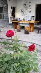 Yuyun Hostel