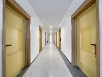 Paddington City Home Hasha Outlets