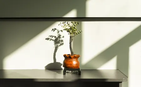 Wangxiangu Hanshan Residence