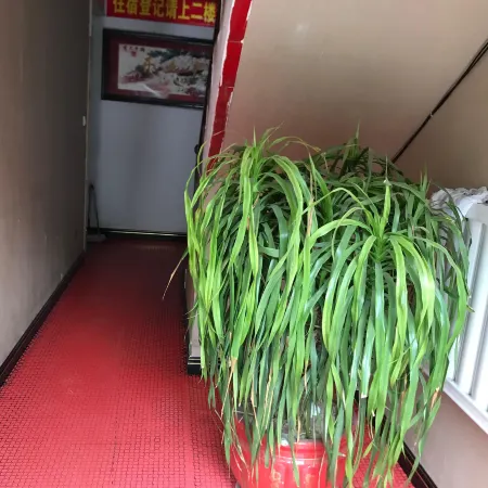 Dongxin Hotel