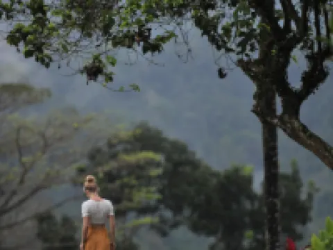 Ijen Resort and Villas - The Hidden Paradise Hotels in Licin