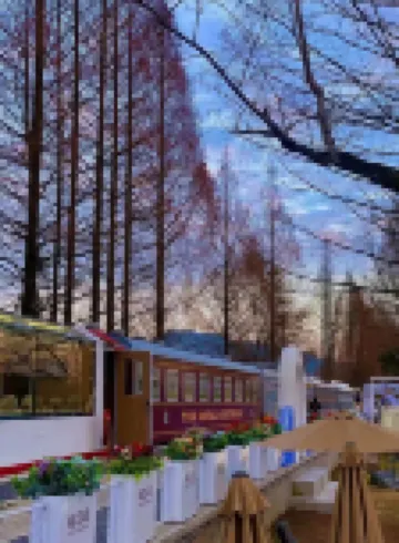 Xiangyun Train Homestay