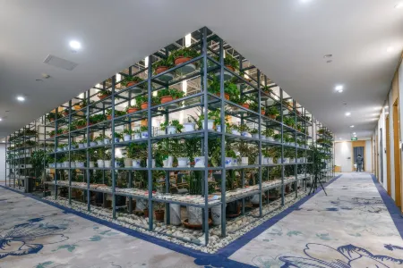 둔황 윤보 인터내셔널 호텔