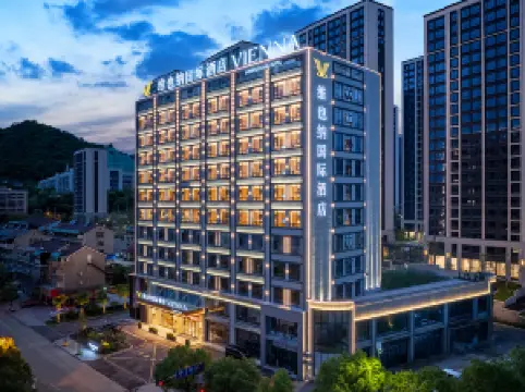 비엔나 인터내셔널 호텔 (리수이 수이거 개발구 지점)