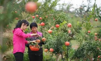 Xi'an Muguang Xiaoyuan Homestay
