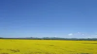 Tangke Pushé Xingxiu