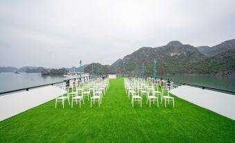 Halong Dragon Bay Cruise