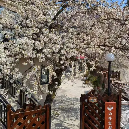 Floral Hotel· Mountain Forest Hotel (Guling Street Cableway Shangzhan Branch)