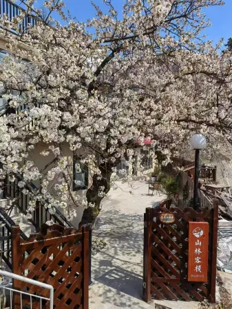 Floral Hotel· Mountain Forest Hotel (Guling Street Cableway Shangzhan Branch) Отели рядом с достопримечательностью «Haihuizhen»