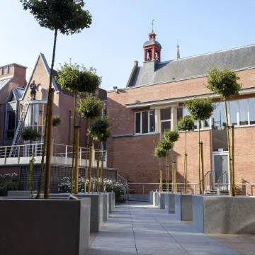 Martin's Brugge