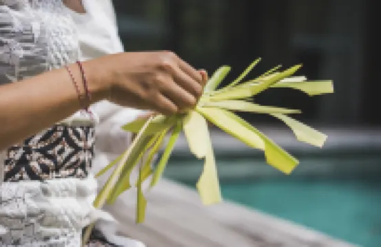 Ekosistem管理的iSuite