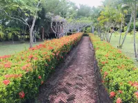 Suan Bankrut Beach Resort - Ocean View