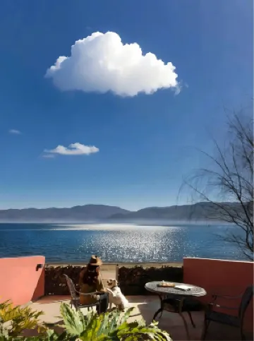 ฮอลิเดย์ คอร์ทยาร์ดเชาเชอ