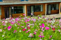Turks Mujia Homestay