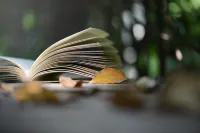Jingtian Hotel (Zhangzhou Backgammon New World)