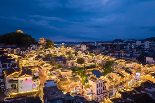 Feihong Homestay - pet friendly