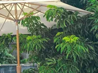 Angkor Rise Boutique Hotels near Wat Preah Prom Rath