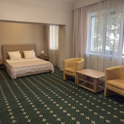 Saya-Hotel Hotels near Abay Opera House