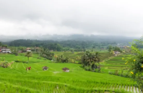Calma Coliving at Jatiluwih, Bali Hoteles cerca de Pura Luhur Batukaru