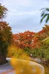 Hampton by Hilton Emeishan Scenic Area - romantici