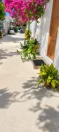 Dhiffushi Reef & Beach - breakfast