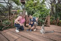 Royal Safari Garden Resort and Convention - Family