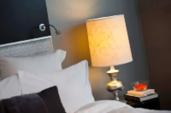 阿靈頓首府美景萬麗飯店 住宿飯店