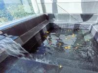 峨眉山荷葉雲上私湯·Petrichor環山觀景休閑度假美宿