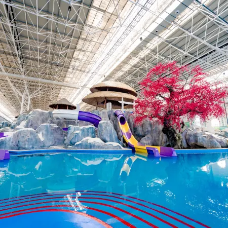 Harbin Meilidao Hot Spring Resort Hotel
