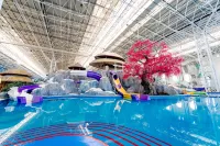 Harbin Meilidao Hot Spring Resort Hotel - piscine
