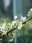 霞浦鳴野秋蘆海上民宿 - 浪漫/情侶