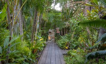 The Palms at Palm Cove