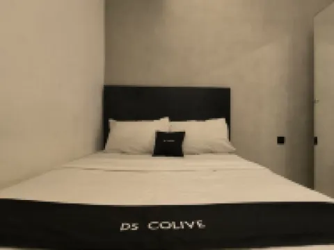 DS CoLive Sinabung Hotels in Candisari