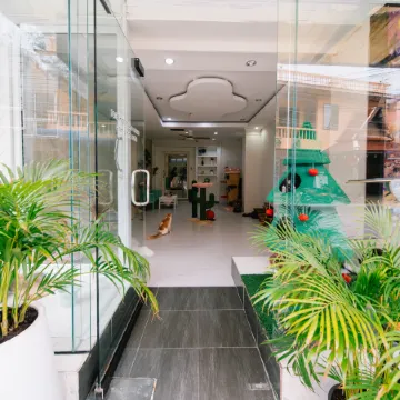 Catnip Seaside Hotel&Cafe