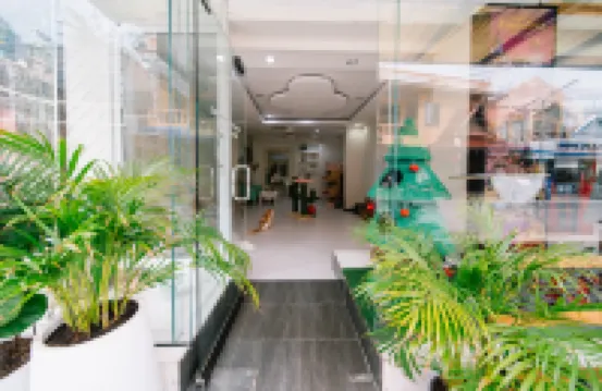 Catnip Seaside Hotel&Cafe